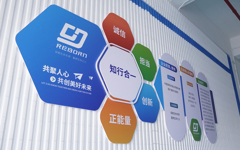 歸壹新能源技術(shù)文化墻